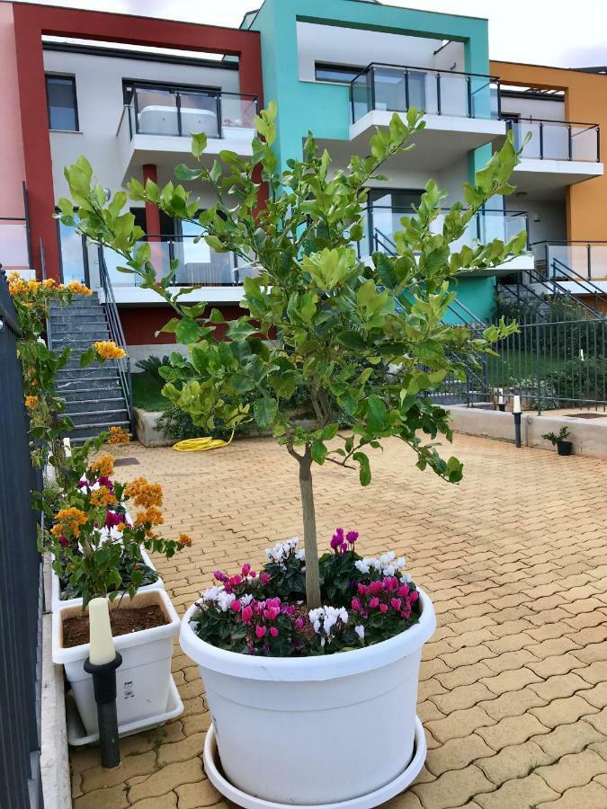 Red Luxury In Borgo Guardiola Near Cefalu Mandra Capreria Zewnętrze zdjęcie